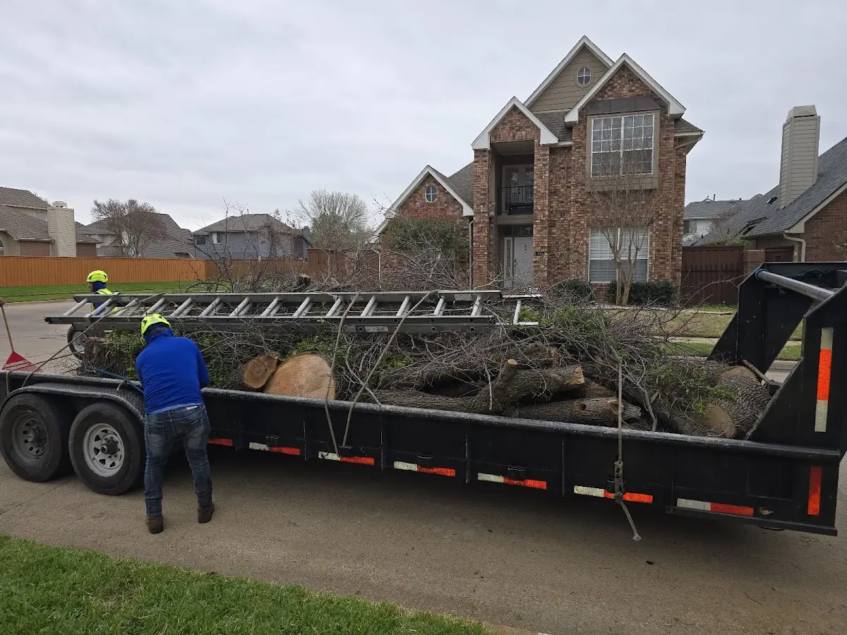 Expert Tree Pest Control with proper safety equipment in Leicester